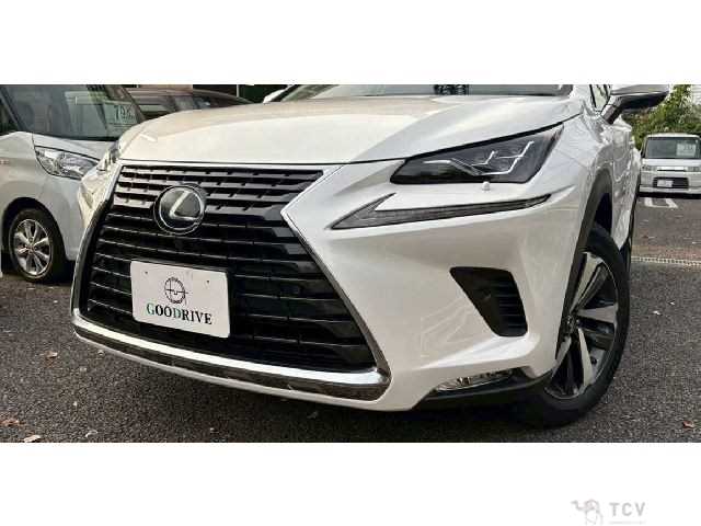 2019 Lexus NX