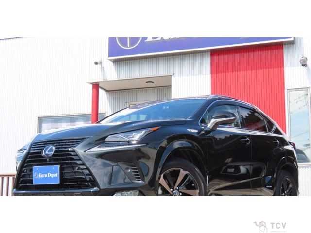 2019 Lexus NX
