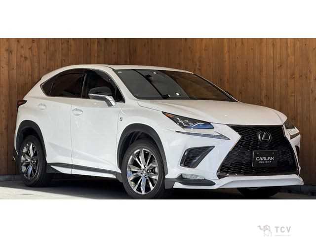 2019 Lexus NX