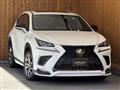 2019 Lexus NX