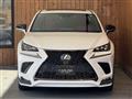 2019 Lexus NX