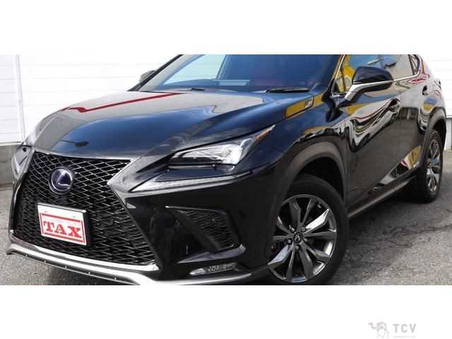 2019 Lexus NX