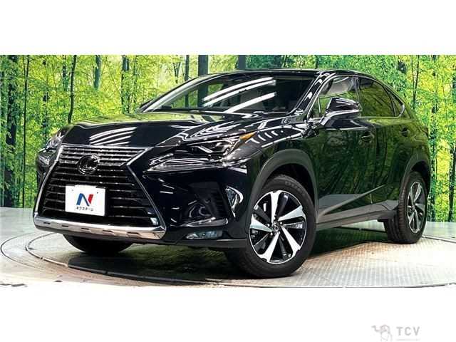 2018 Lexus NX