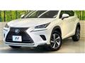 2018 Lexus NX