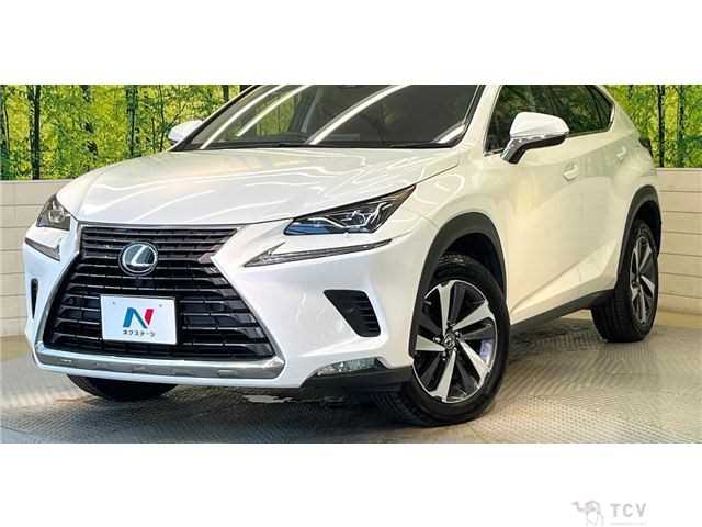 2018 Lexus NX