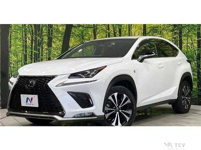 2018 Lexus NX