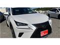 2018 Lexus NX