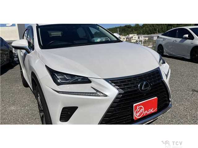 2018 Lexus NX