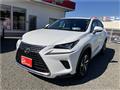 2018 Lexus NX