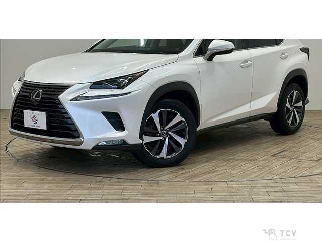 2018 Lexus NX