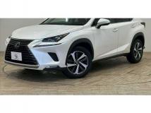 2018 Lexus NX