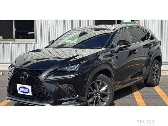 2018 Lexus NX
