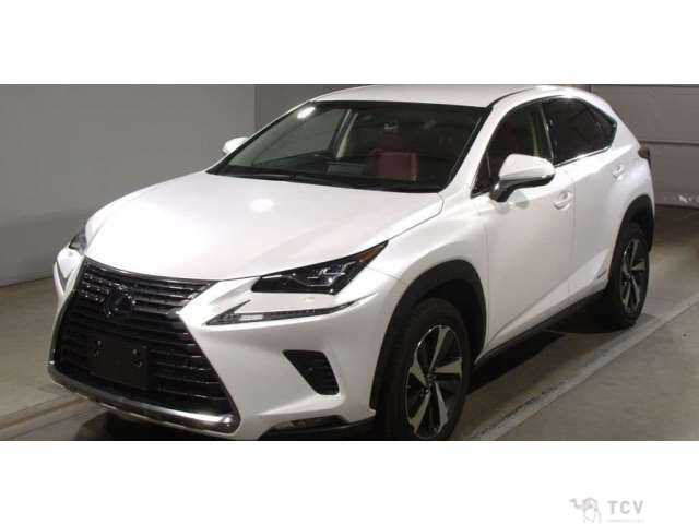 2018 Lexus NX