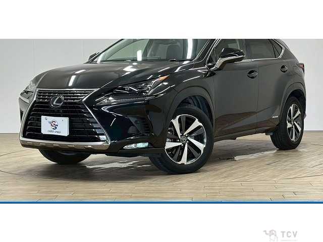 2018 Lexus NX