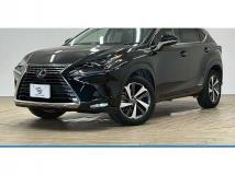 2018 Lexus NX