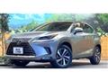 2018 Lexus NX
