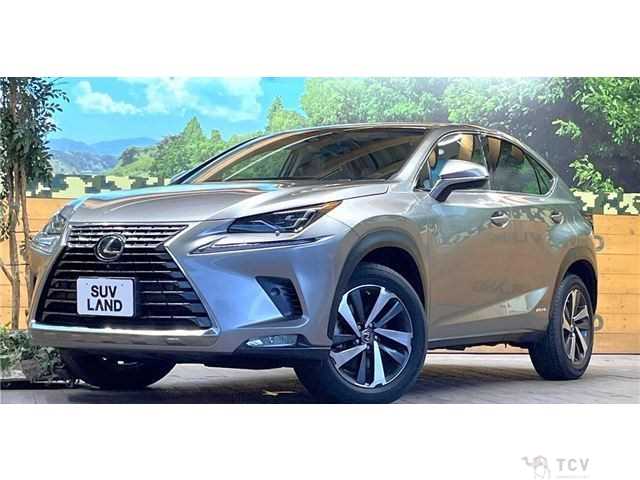 2018 Lexus NX