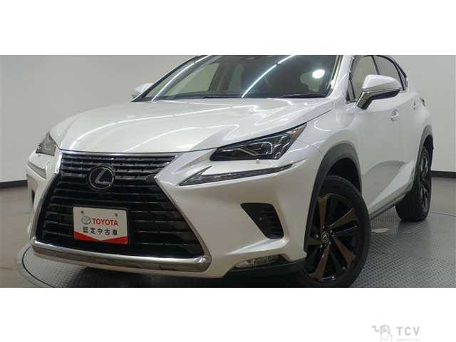 2018 Lexus NX