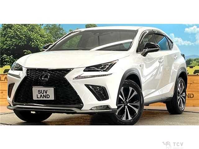 2017 Lexus NX