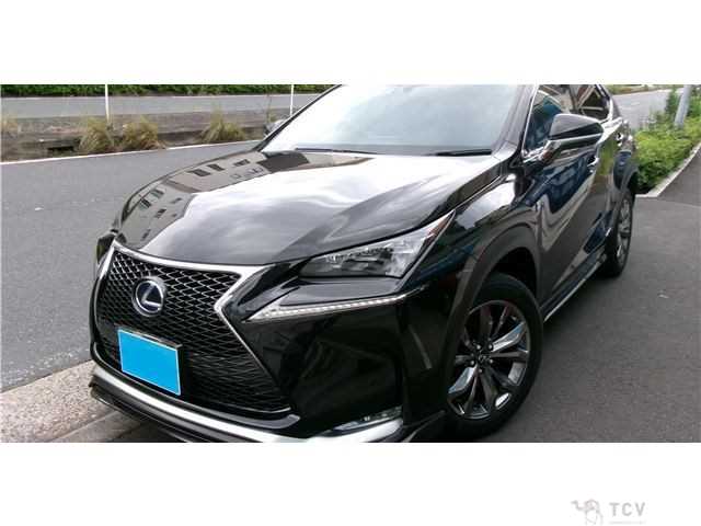 2015 Lexus NX