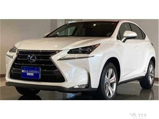 2014 Lexus NX