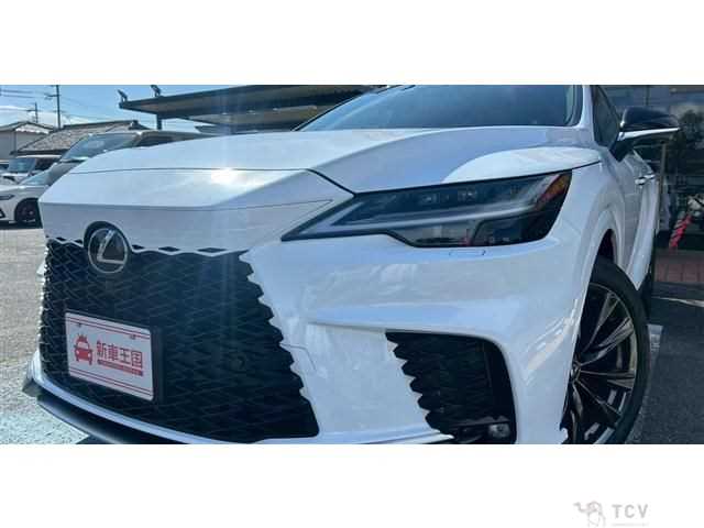 2025 Lexus RX