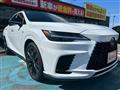 2025 Lexus RX
