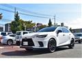 2025 Lexus RX