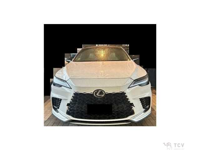 2025 Lexus RX