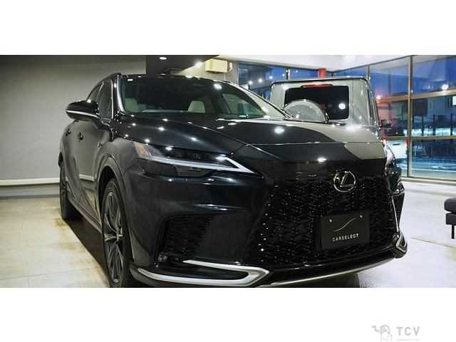 2025 Lexus RX