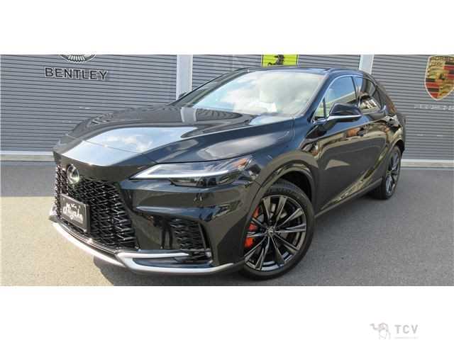 2025 Lexus RX