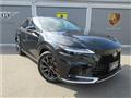 2025 Lexus RX