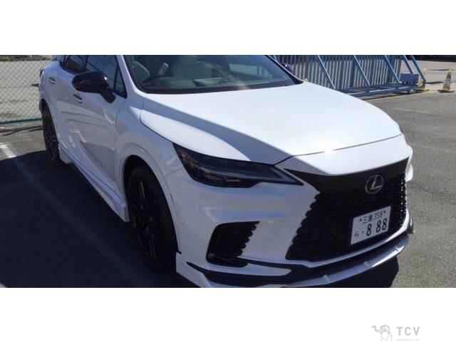 2025 Lexus RX
