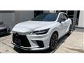 2025 Lexus RX