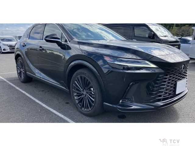 2024 Lexus RX