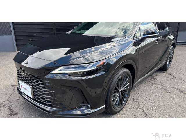2024 Lexus RX