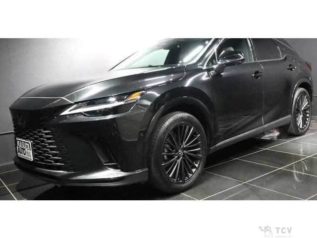2024 Lexus RX