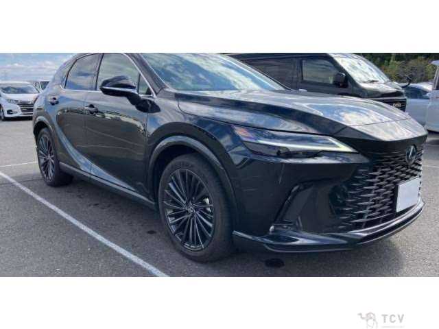 2024 Lexus RX