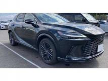 2024 Lexus RX
