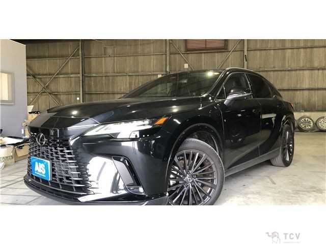 2024 Lexus RX