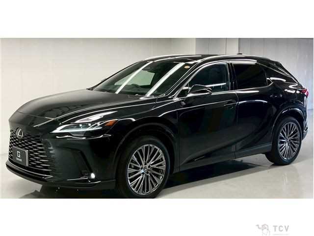 2024 Lexus RX