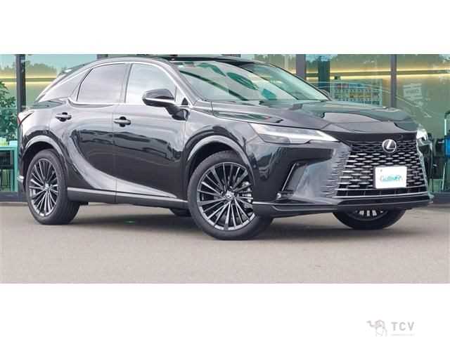 2024 Lexus RX