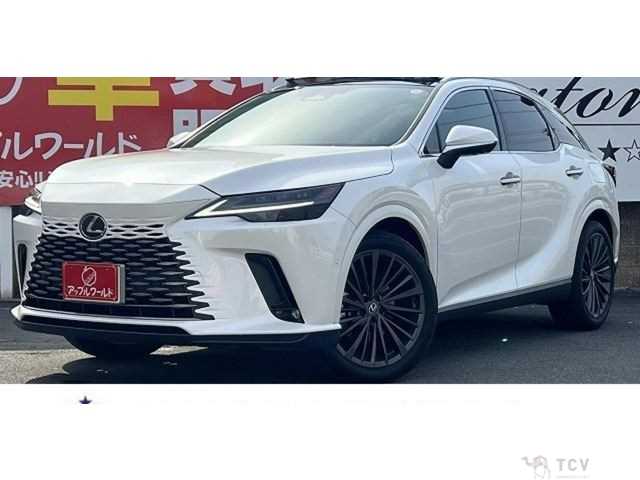 2024 Lexus RX