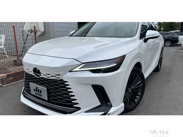 2024 Lexus RX