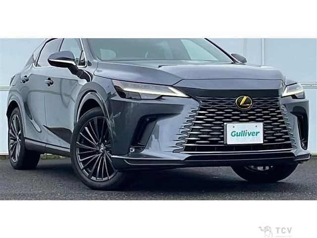 2024 Lexus RX