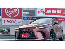 2024 Lexus RX