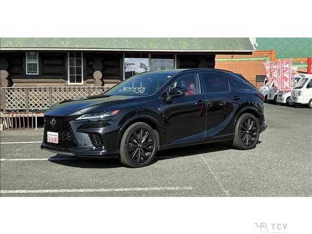 2024 Lexus RX