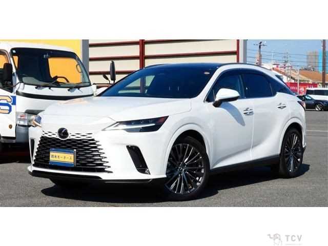 2024 Lexus RX