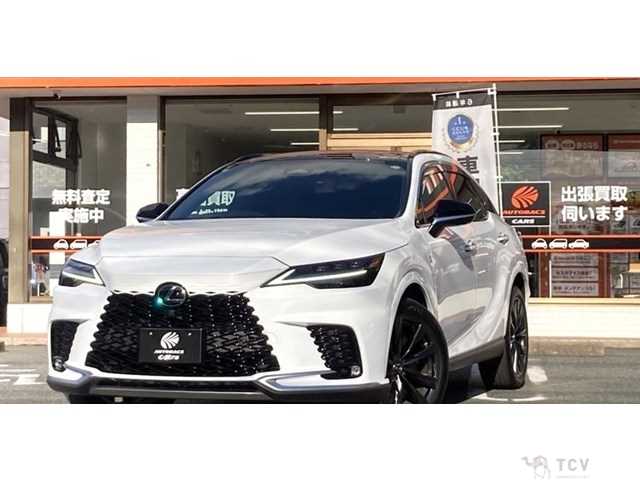 2024 Lexus RX