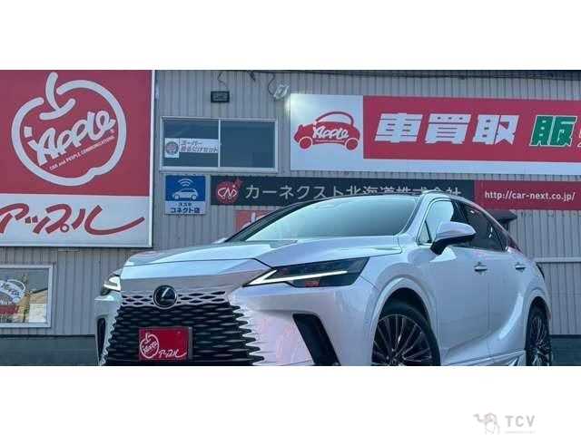 2024 Lexus RX